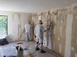 Mold Removal for HVAC Installations in Farmersville, TX